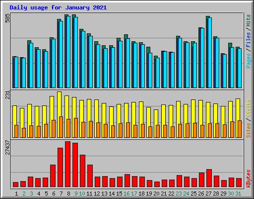 Daily usage for January 2021