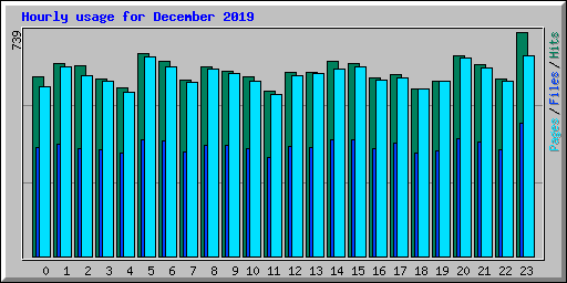 Hourly usage for December 2019
