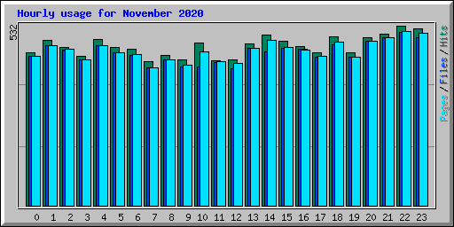 Hourly usage for November 2020