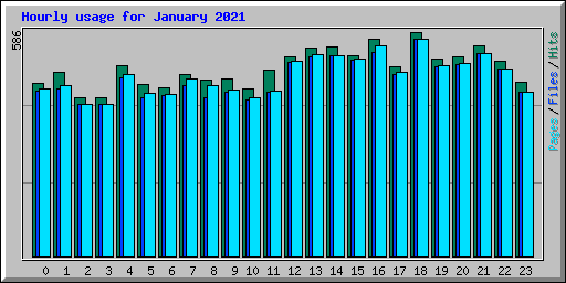 Hourly usage for January 2021