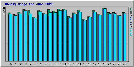 Hourly usage for June 2021