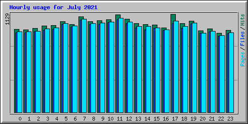 Hourly usage for July 2021